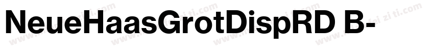 NeueHaasGrotDispRD B字体转换
